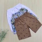 Kids shorts combo (Boys)