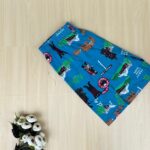 Women’s shorts